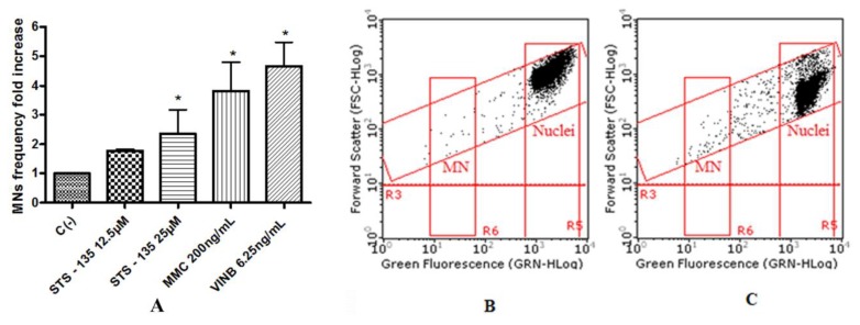 MN’s frequency fold increase on TK6 cells after 26 h treatment with STS-135 at the indicated concentrations with respect to the untreated negative control [C (-)] and to positive controls [MMC and VINB] (A), plot of nuclei and micronuclei in untreated control (B), and in 25µM treated (C). Data were analyzed using repeated ANOVA followed by Bonferroni post-test. * p < 0.05 versus C (-).