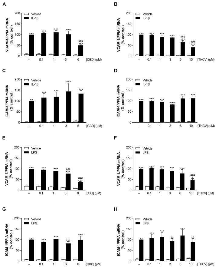 Effect of CBD and THCV on VCAM-1 and ICAM-1 mRNA expression in HCAEC under basal, IL-1β- and LPS-induced conditions. HCAEC were incubated for 24 h with 10 ng/mL IL-1β or its vehicle and increasing concentrations of CBD (A,C), THCV (B,D), or with vehicle. For LPS-stimulated cells, HCAEC were preincubated with increasing concentrations of CBD (E,G), THCV (F,H), or vehicle for 1 h and then co-incubated with 1 µg/mL LPS or its vehicle for 24 h. Thereafter, mRNA expression was determined by qRT-PCR. Cells treated with vehicle in combination with IL-1β or LPS were set 100%. Data are presented as means ± SEM of n = 3 (3 independent experiments, (B,D,F,H)) or n = 4 (4 independent experiments, (A,C,E,G)). * p ≤ 0.05, ** p ≤ 0.01, *** p ≤ 0.001 vs. non-stimulated vehicle control group; ### p ≤ 0.001 vs. IL-1β- or LPS-stimulated cells; one-way ANOVA plus Bonferroni post hoc test.