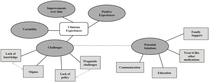 Overview of categories and subcategories pertaining to clinician perceptions with medical cannabis at schools.