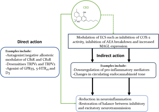 Concise illustration of CBD's interactions with multiple signalling pathways that could explain its beneficial effects in neuropsychiatric disorders. This diagram highlights the fact that CBD can modulate the ECS in multiple ways, as well as interact directly with many neural receptors (only some of which are shown in this diagram).