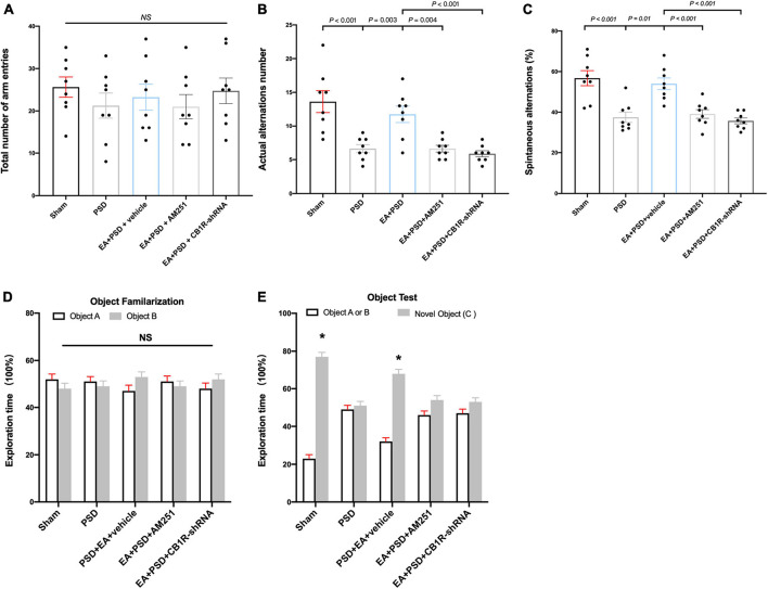 The improved cognitive outcome produced by EA treatment was reversed by the mutant of CB1R. (A–C) Neither PSD, EA nor CB1R knockdown affected the number of total arm entries (A). EA treatment significantly improved the exploring outcome of spatial working memory (B) and spatial cognitive ability (C) in Y-maze test, this effect was reversed by the supplementation of AM251 and CB1R-shRNA. (D) The procedure of PSD, EA, AM251 and CB1R-shRNA didn’t alter the time of mice spent exploring two identical object A or object B during the familiarization period. (E) EA treatment increased the time of mice spent exploring familiar object A or B and novel object C during the recognition period, whereas this effect was abolished by the deficiency of CB1R (n = 8, *P < 0.05 vs. familiar object A or B).