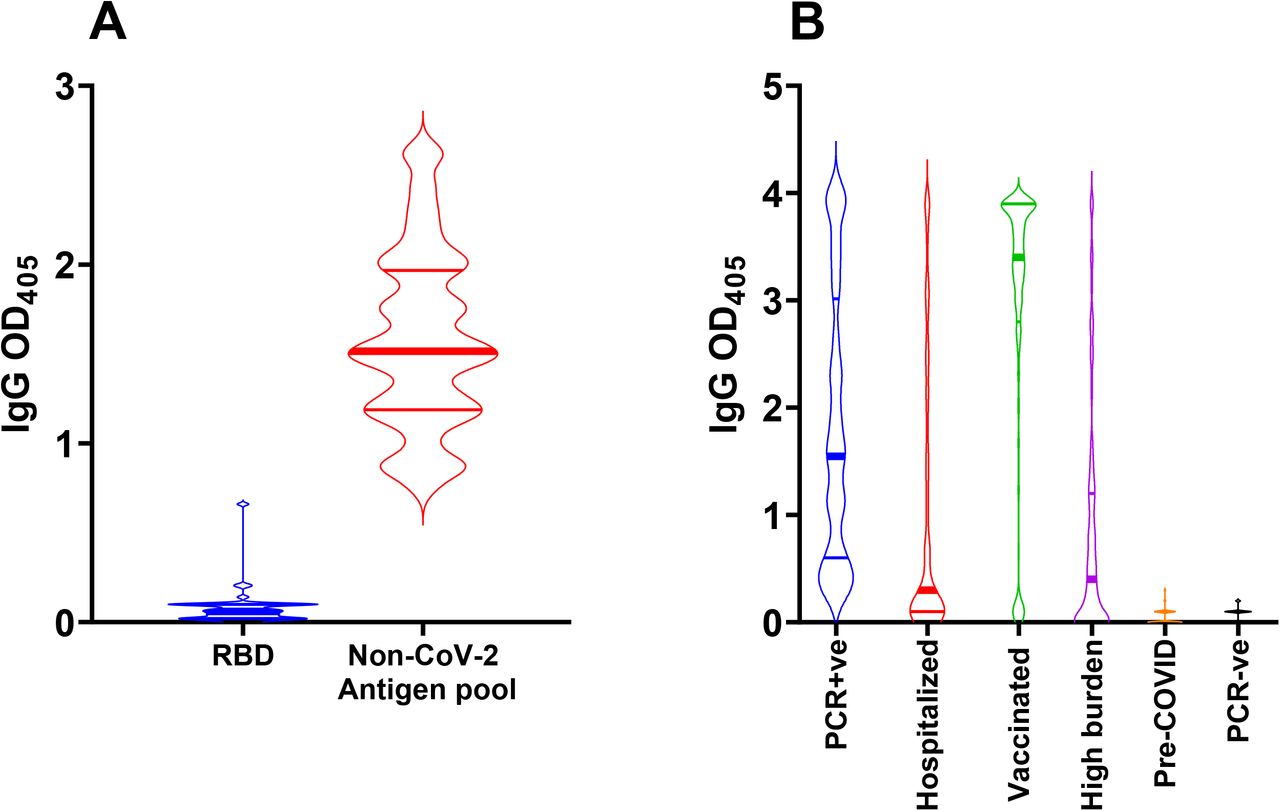 S1 RBD antibody binding assay.(A) Violin plots showing IgG reactivity of pre-COVID-19 sera (n=19) to RBD (blue) and a pool of non-SARS-CoV-2 coronavirus antigens (red) determined by ELISA using sera diluted 1:20. (B) Violin plots showing the reactivity to RBD of serum/plasma samples (diluted 1:80) from convalescent subjects who had tested PCR-positive for SARS-CoV-2 infection (n = 83, blue); COVID-19 hospitalized subjects (n=146, red); subjects who received full COVID-19 vaccination (n = 283, green); adult residents in the Lakewood, NJ township (high burden) s(n = 148, purple); pre-COVID-19 samples (n = 104; orange); SARS-CoV-2 PCR-negative subjects (n = 103; black). In all panels, the solid horizontal lines represent the median (thick line) and interquartile range (thin lines).