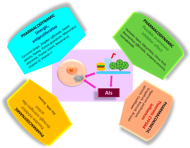 Schematic summary presentation of the main pharmacodynamic and pharmacokinetic effects produced by different natural compounds on AIs and BC.