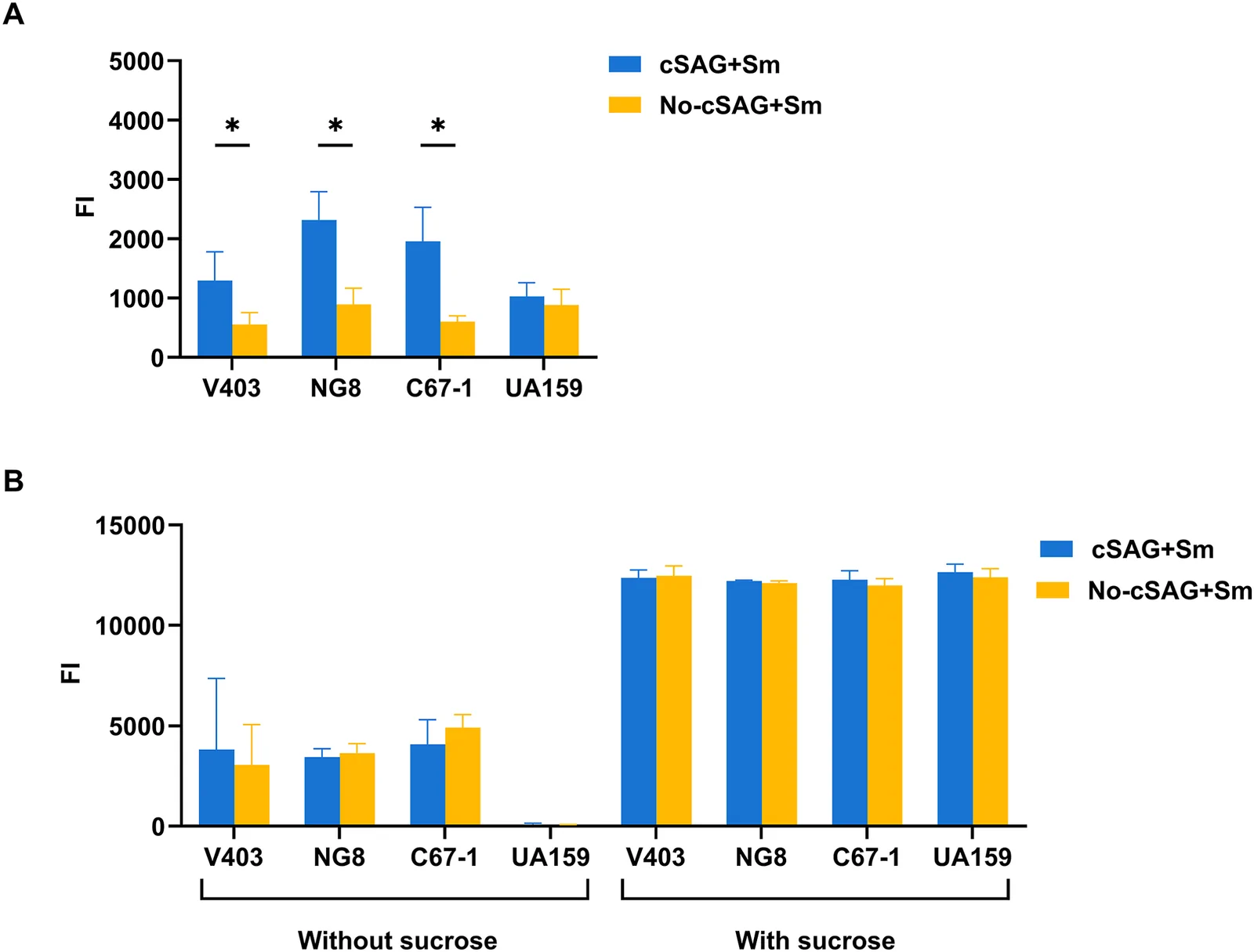 Adherence and biofilm formation of S. mutans (Sm) strains in the Calgary Biofilm Device (CBD). Adherence of S. mutans strains V403, NG8, C67-1, and UA159 to pegs coated with or without cSAG was measured after 2 h, and subsequent biofilm formation over 40 h was assessed in the presence or absence of 0.2% sucrose. Both adherence (A) and biofilm formation (B) were quantified using the resazurin assay. cSAG, crude salivary agglutinin. No-cSAG, coating buffer only. FI, fluorescence intensity. * refers to P < 0.05.