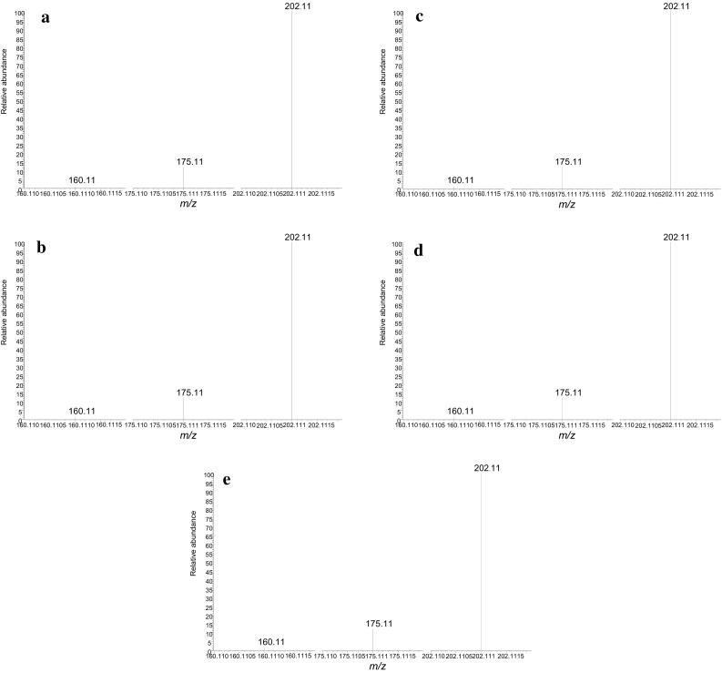 Product ion spectra of α-propylaminopentiophenone for the specimens of a blood, b eyeball fluid, c liver, d kidney, and e brain
