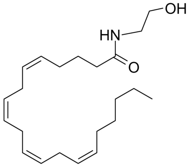 Chemical structure of anandamide.