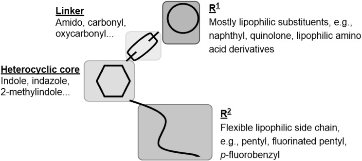 Common structural features of synthetic cannabinoids. The figure was adopted from the European Monitoring Centre for Drugs and Drug Addiction (EMCDDA) [3] and modified