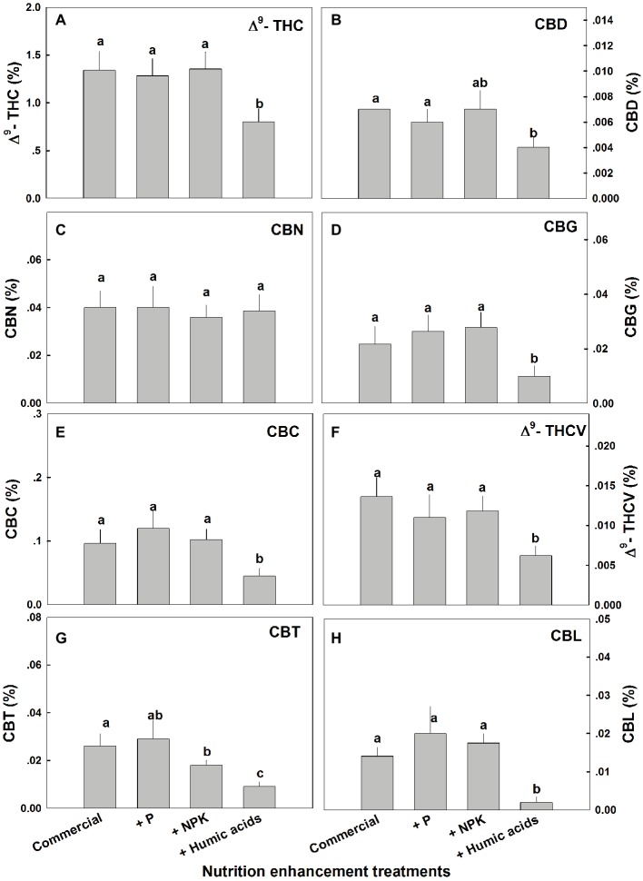 Cannabinoid content in fan leaves of medical cannabis plants, as affected by enhanced nutritional supplementation. Δ9-THC (A), CBD (B), CBN (C), CBG (D), CBC (E), Δ9-THCV (F), CBT (G), CBL (H). The top inflorescence of the plant was analyzed. Presented data are averages ± SE (n = 6). Different letters above the bars represent significant differences between treatments by Tukey’s HSD test at α = 0.05.
