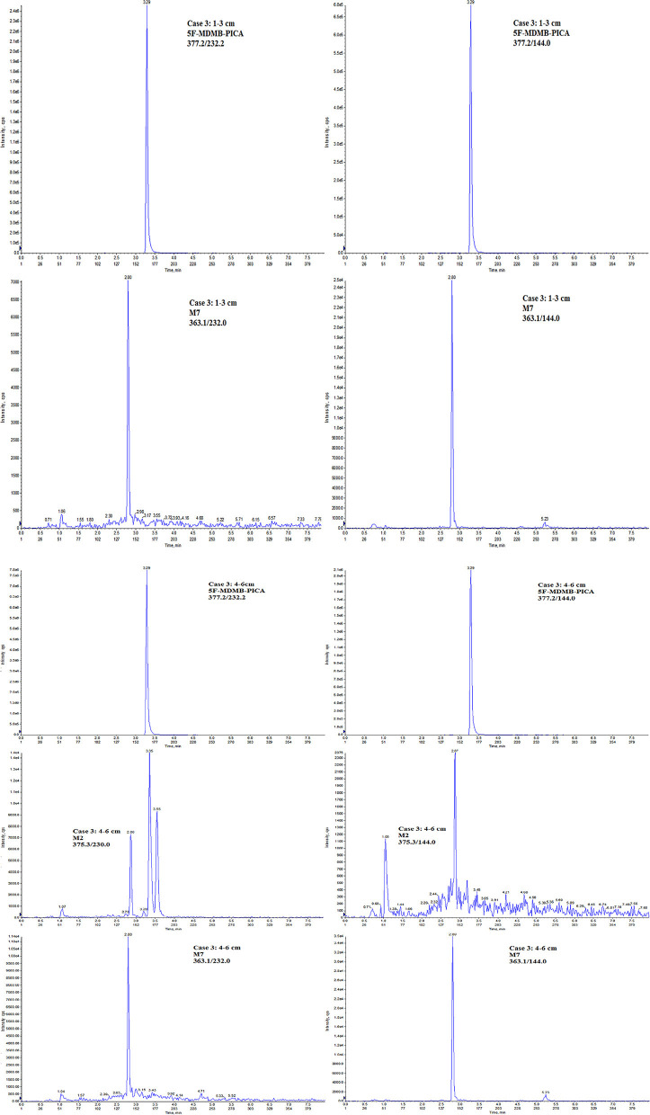 Ion chromatograms of case 3.
