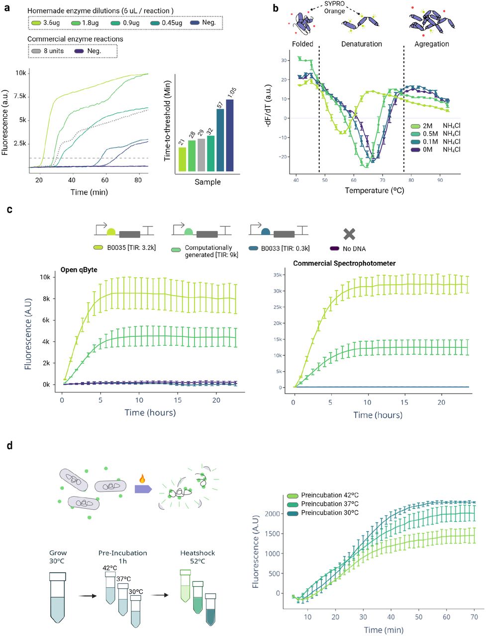 Validation of qByte for a broad spectrum of applications.A: Characterization of the enzymatic activity of an in-house produced batch of Bst-LF by comparing it to the standard concentration of a commercial enzyme. B: Validation of the qByte for studying the thermal stability of an enzyme by analyzing the impact of ammonium chloride on the structural stability of Bst-LF using the melting curve mode. C: Benchmarking the qByte against a commercial spectrometer for characterizing the translational efficiency of three constructs for GFP production in the cell-free transcription-translation (TX-TL) system. TIR: translation initiation rate. D: Application of the qByte for studying bacterial viability, specifically measuring the resilience of three bacterial populations pre-incubated at different temperatures to withstand a heat-shock.