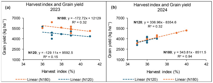 Scatter plots comparing harvest index with grain yield for 2023 and 2024. In 2023, both N180 and N120 trends indicate a negative correlation, with R-squared values of 0.32 and 0.15, respectively. In 2024, both trends are positive, with N180 showing a stronger correlation (R-squared 0.94) than N120 (R-squared 0.32). Orange and blue colors represent different linear trend lines.