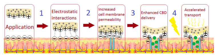 Possible applications of the stimuli-responsive transdermal systems in CBD delivery.