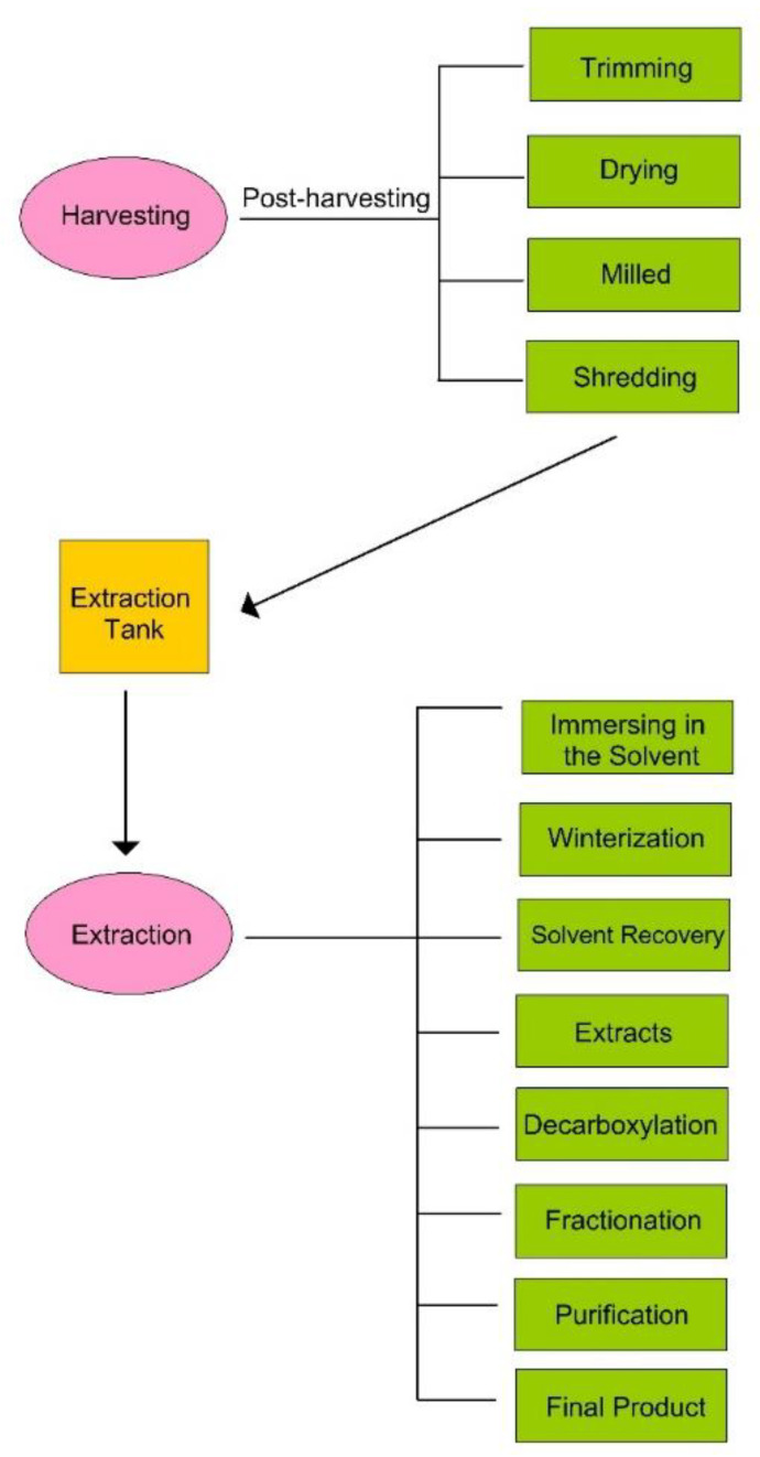 Stages of cannabinoid extraction.