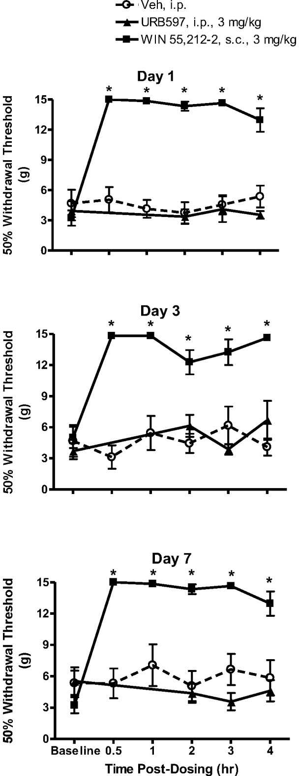 Effects of URB597 and WIN 55,212-2 treatment over seven days on below-level cutaneous hypersensitivity in rats with neuropathic SCI pain.Baseline hind paw withdrawal thresholds were measured prior to treatment with either URB597 (3 mg/kg, i.p.), WIN 55,212-2 (3 mg/kg, s.c.) or vehicle (Veh, 1.5 ml/kg, i.p.). Rats were treated twice daily and tested following the first daily injection. On the first day of testing, a robust antinociception was observed beginning 30 min post-injection of WIN 55,212-2, which was observed also observed on days 3 and 7. By contrast, no antinociceptive effects were observed following treatment with either URB597 or vehicle. Data presented as mean ± S.E.M. n = 8–10/group. * p<0.05 vs. vehicle (Two-way repeated measures ANOVA, Student-Newman-Keuls test).