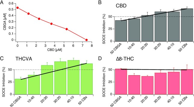 Isobolographic analysis of CBGA and other cannabinoids against SOCE. (A) An isobole showing dose pairs of CBGA and CBD that are expected to inhibit SOCE by 50%. The y- and the x-intercepts represent the IC50 values of CBGA and CBD, respectively. (B) Inhibition of SOCE observed when Jurkat NFAT cells were treated with concentration pairs of CBGA and CBD. The dashed line depicts the expected 50% inhibition of SOCE at each dose pair. The bold line connects the actual inhibition observed when treated separately with CBGA and the other cannabinoid (CBD) at individual IC50. The bars represent the observed inhibition when treated with various concentration pairs of the two compounds. Here, the bars fall on the bold line, indicating that the two compounds follow a simple additivity behavior. (C) Dose pairs of CBGA and THCVA show deviation from expected inhibition. The green bars above the bold line suggest supra-additive (synergistic) effects between the two compounds. (D) Concentration pairs of CBGA and Δ8-THC show deviation in the opposite direction, suggesting subadditive (inhibitory) effects.