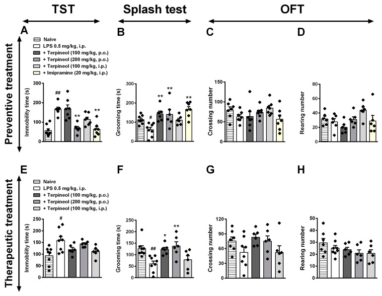Effect of preventive and therapeutic treatment with terpineol in LPS-induced depressive-like behavior in mice in the tail suspension test (TST: A,E), splash test (ST: B,F), and open field test (OFT: C,D and G,H). Terpineol (100 mg/kg, p.o.; 200 mg/kg, p.o.; 100 mg/kg, i.p.) was administered 1 h before LPS (0.5 mg/kg, i.p.; preventive treatment—top panel) or 24 h after LPS administration (therapeutic treatment—bottom panel). Imipramine (20 mg/kg, i.p.) was used as a positive control. Data are presented as the mean ± SEM of six to eight mice/group, with black dot showing individual mice. Differences between groups are indicated: *p < 0.05 and **p < 0.01 compared to the LPS group; # p < 0.05 and ## p < 0.01 compared to the naïve group.