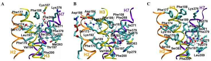 Key binding pocket residues in three AEA binding poses.(A) AEA binding pose 1_H7_HC. (B) AEA binding pose 1_H2/H3_HC. (C) AEA binding pose 2_HCd_H2/H3.