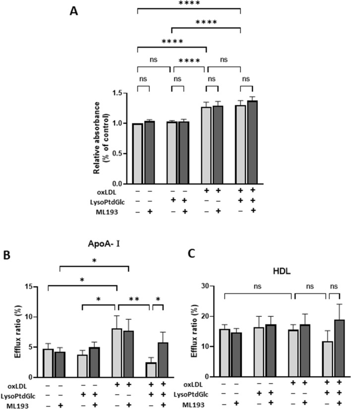 Lipid uptake and cholesterol efflux activity in lysoPtdGlc-stimulated M2c macrophages. (A) M2c macrophages were treated with ML193 (GPR55 antagonist) for 2 h, stimulated with 10 nM lysoPtdGlc for 2 h, incubated with 50 µg/mL oxLDL for 24 h, stained with ORO, and dissolved in isopropanol. Absorbance of supernatants was measured at wavelength 490 nm. (B,C) ABCA1-mediated (B) and ABCG1-mediated (C) cholesterol efflux in M2c macrophages was analyzed using TopFluor cholesterol under various conditions as indicated. Cells were treated sequentially with ML193, lysoPtdGlc, and oxLDL as in A. Data were normalized to non-treated cells. Bars represent mean ± SEM from three independent experiments. Data analysis and notations as in Fig. 1.