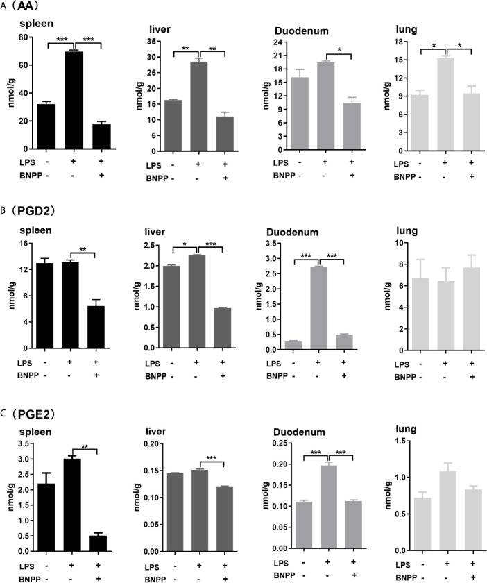 Levels of AA (A), PGD2 (B) and PGE2 (C) in tissues from pigs treated with BNPP and LPS. Pigs (n = 3) were treated with BNPP (25 mg/kg, i.p.) initially and 1 h later with LPS (25 µg/kg, i.p.) in pigs. Animals were euthanized 24 h after LPS administration. Tissues were harvested, extracted and analyzed for the level of AA, PGD2 and PGE2 with LC-MS/MS. The data in Figure 7 are presented as the mean ± SEM of 3 independent experiments. Statistical significnce was considered at values of P < 0.05 and indicated by an asterisk (*P < 0.05; **P < 0.01; ***P < 0.001).