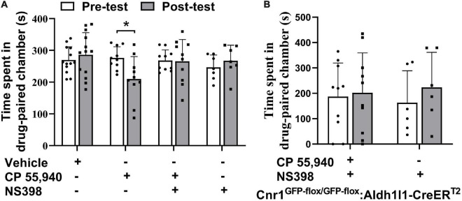 Inhibition of cyclooxygenase-2 blocks conditioned place aversion induction by CP 55,940. (A) Statistical data showing that NS398 (specific cyclooxygenase-2 inhibitor, 10 mg/kg) does not induce conditional place preference, while it prevents conditioned place aversion (CPA) induction by CP 55,940 in Cnr1+/+ mice. NS398 is intraperitoneal injected 30 min before CP 55,940. (B) Statistical data showing that NS398 does not induce conditional place preference, while it prevents CPA induction by CP 55,940 in Cnr1GFP– flox/GFP– flox: Aldh1l1-CreERT2 mice treated with tamoxifen. *P < 0.05 (one-way ANOVA).