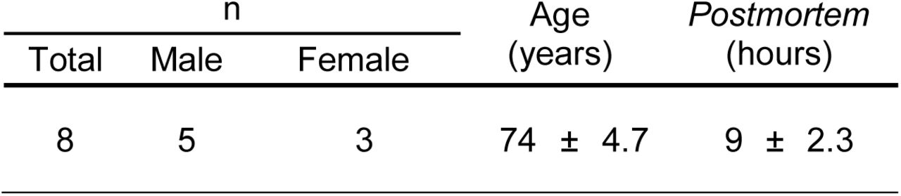 Demographic data from human samples. Data are mean ± SEM.
