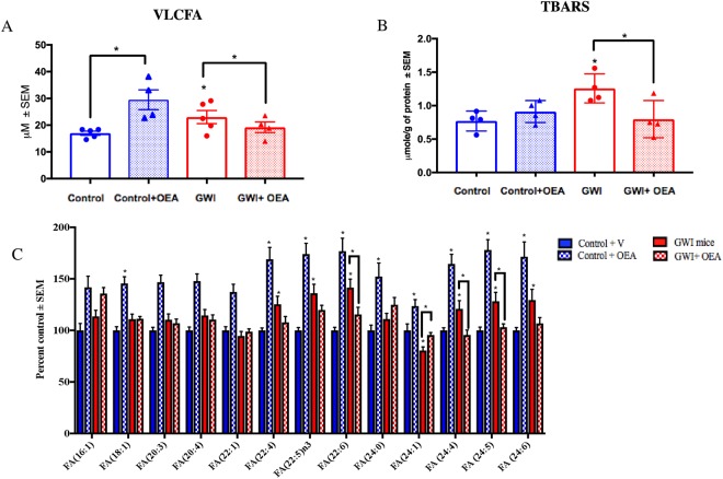 Brain lipid profiles show that OEA significantly decreases the VLCFA in the brains of GWI mice. Mean ± SEM expressed as percent control of mice on normal chow (n = 4/5 per group). (A) Levels of VLCFA were increased in the brains of GWI mice compared to control mice. OEA treated GWI mice had similar levels as in control mice. However, control mice treated with OEA had significantly higher levels of VLCFA compared to control mice that received normal diet. (B) Quantification of lipid peroxidation product TBARS showed that levels were significantly elevated in GWI compared to control mice on normal chow but were lower in OEA treated GWI mice compared to all other groups. (C) Compared to controls, GWI mice had higher levels of several major omega-6 and omega-3 FA (FA20:4, FA22:4. FA22:5, FA24:5 and FA24:6). Treatment with OEA decreased the levels of these FA in GWI mice. *p ≤ 0.05.