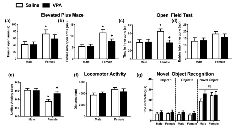The effect of prenatal VPA exposure on anxiety-like behaviour and recognition memory in male and female adolescent rats. (a) Time in open arms and (b) number of entries into the open arms during the EPM (n = 12 per group). (c) Time in inner zone and (d) number of entries in the inner zone during the OFT (n = 12 per group). (e) Unified behavioural anxiety score (n = 12 per group). (f) Locomotor activity in open field arena (n = 12 per group) and (g) time interacting with familiar and novel objects during the NOR trial (n = 11 to 12 per group). Data expressed as mean + SEM. * p < 0.05 vs. saline-exposed males; + p < 0.05, vs. saline-exposed females. ## p < 0.01 vs. corresponding group interacting with object 1 and 2.