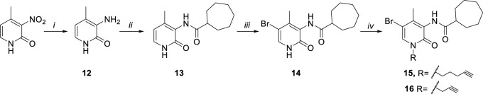 Synthetic pathway for the synthesis of the alkyne derivatives 15 and 16. Reagents and conditions: i) Fe, NH4Cl, H2O/EtOH 1:2, 80 °C, 3 h. ii) a) cycloheptanecarboxylic acid, C2O2Cl2, DMF, rt, 0.5 h b) NEt3, DCM, DMF, rt, 24 h. iii) Br2, CHCl3, rt, 12 h. iv) a) CsF, DMF, rt, 1 h b) R-bromide, 30°C, 12h.