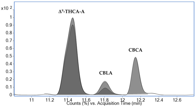 A dynamic multiple-reaction-monitoring (dMRM) ion chromatogram showing specific precursor-to-product ion transitions and their relative ratios for the isomeric phytocannabinoid acids Δ9-THCA-A (Δ9-tetrahydrocannabinolic acid A), CBLA (cannabicyclolic acid), and CBCA (cannabichromenic acid) (m/z 357.2) in brain tissue extract. The concentration of each analyte was 80 µg/kg. UHPLC-MS/MS (Ultra-high performance liquid chromatography coupled with tandem mass spectrometry) conditions are described in Section 3.7.