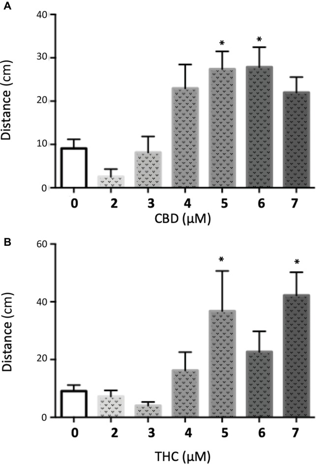 Quantification of the swimming distance of 5 dpf larvae during 90 min after treatment with different concentrations of CBD (A) or THC (B) (t test vs. untreated: * < 0.05; n > 15).