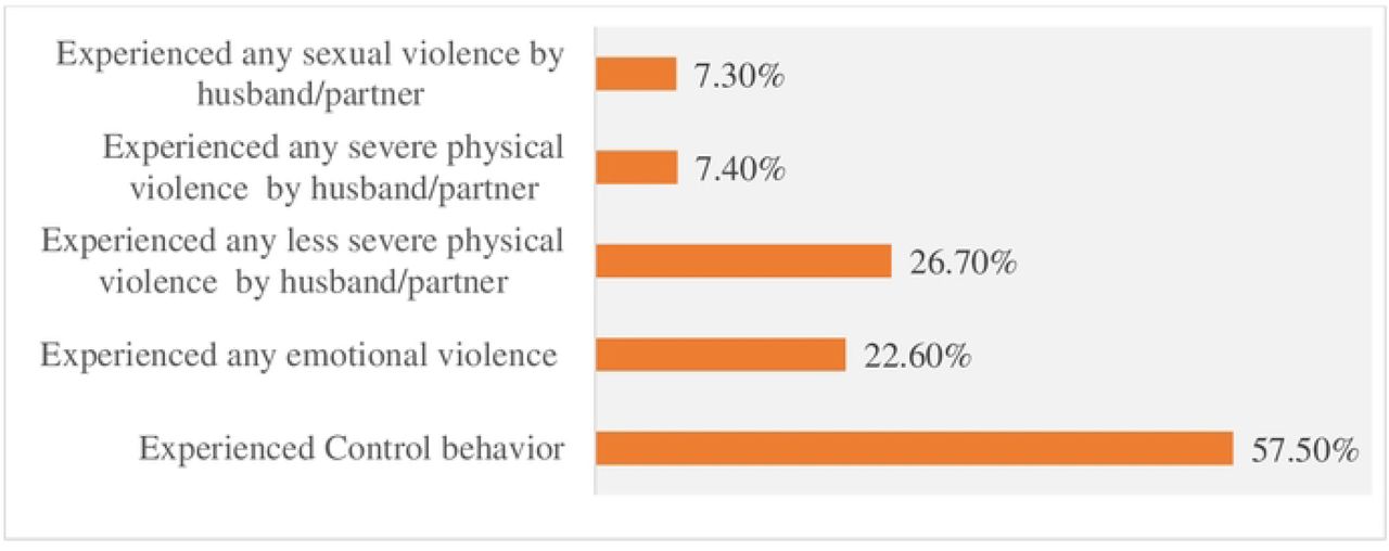 Intimate partner violence among women who gave birth in the last two years