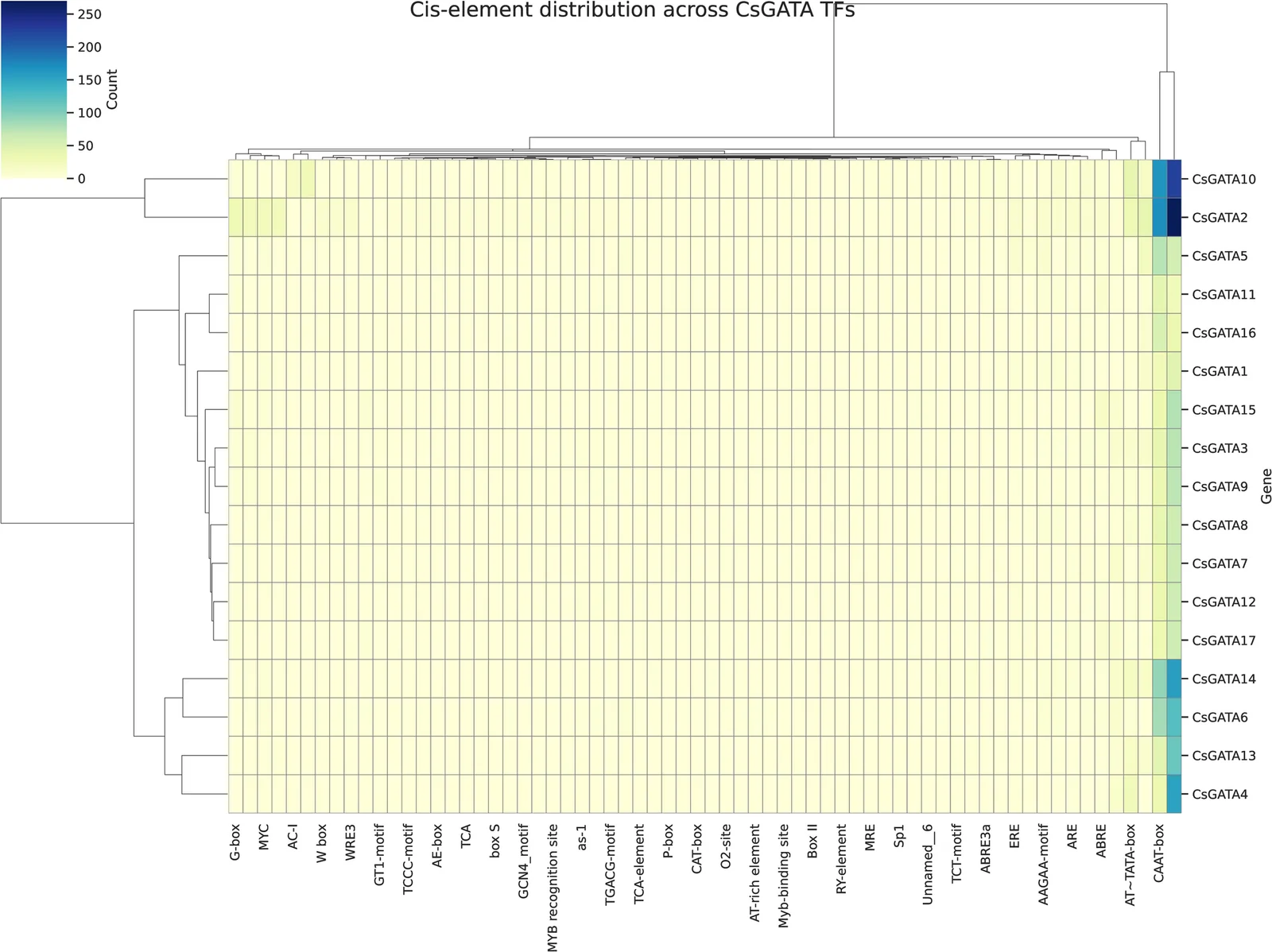Analysis of CREs within the promoter regions (2000 bp upstream of the ATG start codon) of the 17 CsGATA genes, revealing diverse regulatory potential. ABA-responsive elements (ABREs) were the most prevalent