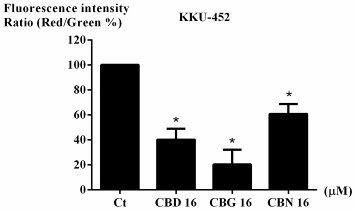 Effects of CBD, CBG, and CBN on mitochondrial membrane potential (MMP, Δψm) in KKU-452 cells. KKU-452 cells were treated with 16 µM of CBD, CBG, or CBN for 6 h and stained with JC-1 fluorescent dye. MMP was quantified by calculating the red/green fluorescence intensity ratio and normalizing it to the control (Ct) as a percentage. Data represents SD from three independent experiments. * p < 0.05 vs. control. CBD, cannabidiol; CBG, cannabigerol; CBN, cannabinol.