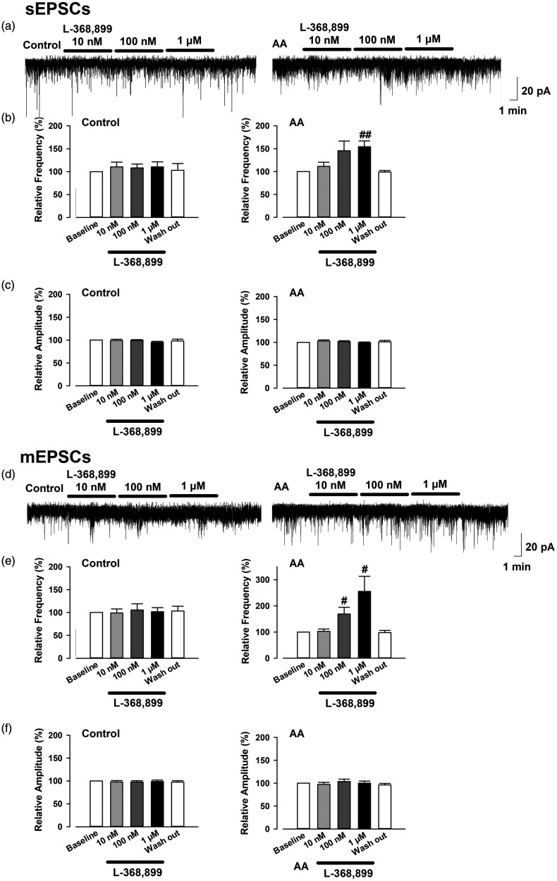 Effect of bath application of L368,899 on sEPSCs and mEPSCs in OXT-mRFP1 neurons in slices from control (left) and AA (right) rats. Example sEPSC (a) and mEPSC (d) traces are shown. Summary frequency data of the different doses of L368,899 (10 and 100 nM and 1 µM) on sEPSCs (b) and mEPSCs (e). Summary amplitude data of the different doses of L368,899 (10 and 100 nM and 1 µM) on sEPSCs (c) and mEPSCs (f) (each group, n = 6 neurons/3 rats) #p < 0.05 and ##p < 0.01 compared with baseline. AA: adjuvant arthritis; mEPSC: miniature excitatory postsynaptic current; sEPSC: spontaneous excitatory postsynaptic current.