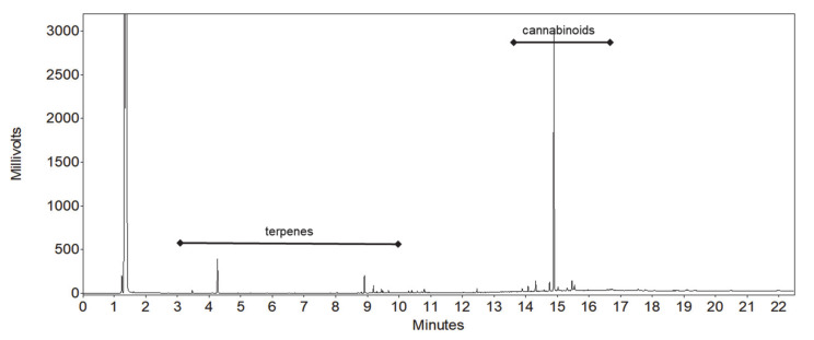 Chromatogram of hemp sample extract (full scale).