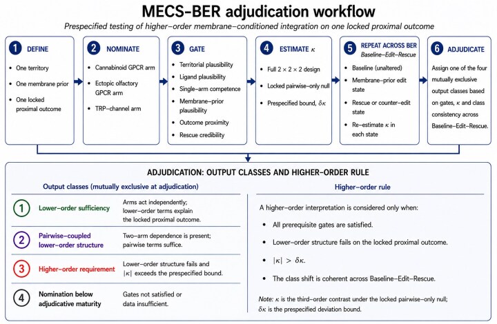 Workflow diagram for MECS-BER adjudication. The upper row shows six sequential steps: define the territory, membrane prior and locked proximal outcome; nominate cannabinoid GPCR, ectopic olfactory GPCR and TRP-channel arms; apply gate criteria; estimate κ using a full 2 × 2 × 2 design under a locked pairwise-only null; repeat adjudication across baseline–edit–rescue states; and assign the final output class. A lower adjudication panel lists four possible outputs: lower-order sufficiency, pairwise-coupled lower-order structure, higher-order requirement and nomination below adjudicative maturity. The figure states that higher-order interpretation requires failure of lower-order structure on the locked proximal outcome, |κ| exceeding the prespecified bound and coherent class behaviour across baseline–edit–rescue.