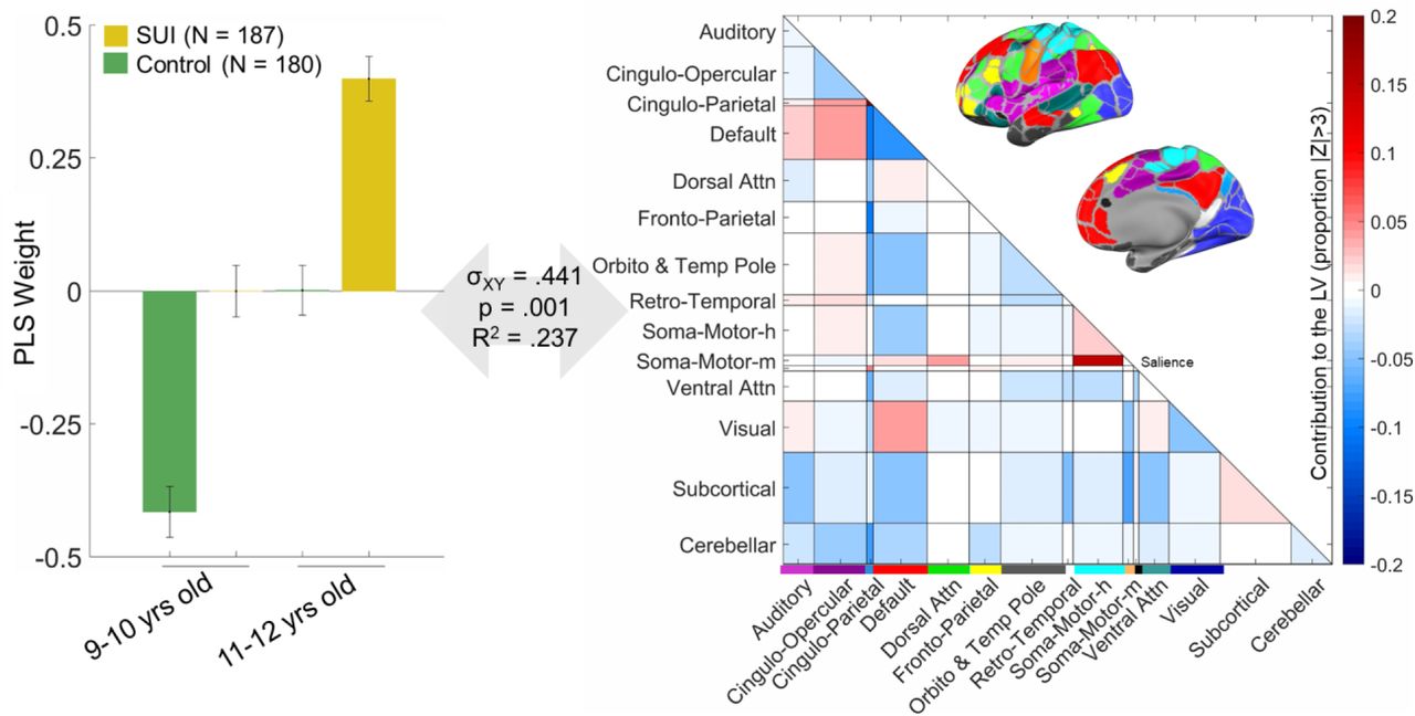 Results of the Partial Least Squares analysis when only one member from each family was used in the analysis.In the left panel, the group by time PLS weights in the latent variable are shown. The SUI group is in yellow, and the control group is in green; the first two columns show the loadings at 9–10 years of age and the second pair of columns show the loadings at 11-12 years of age. The right panel shows the extent to which the connections across and within brain networks load onto the PLS latent variable. The cortical networks are color-coded, and their anatomical mapping can be seen in the brain surface maps. Networks are defined according to [55]; the ‘unassigned’ set of connections in [55] is labeled here as ‘Orbito and Temp Pole’ as it falls in the orbitofrontal cortex and the temporal pole. The somato-motor networks are labeled with ‘h’ for hand and ‘m’ for mouth. The cross-block covariance is shown as σXY, and represents the squared singular value for this LV divided by the sum of squared singular values for all LVs. P value is determined by 1000 permutations, and the R2 here is the squared Pearson’s correlation (between the left and right-hand sides of the LV (i.e. U and V scores). Z values in the right panel and the error bars in the left panel are estimated using 1000 bootstraps (see methods).
