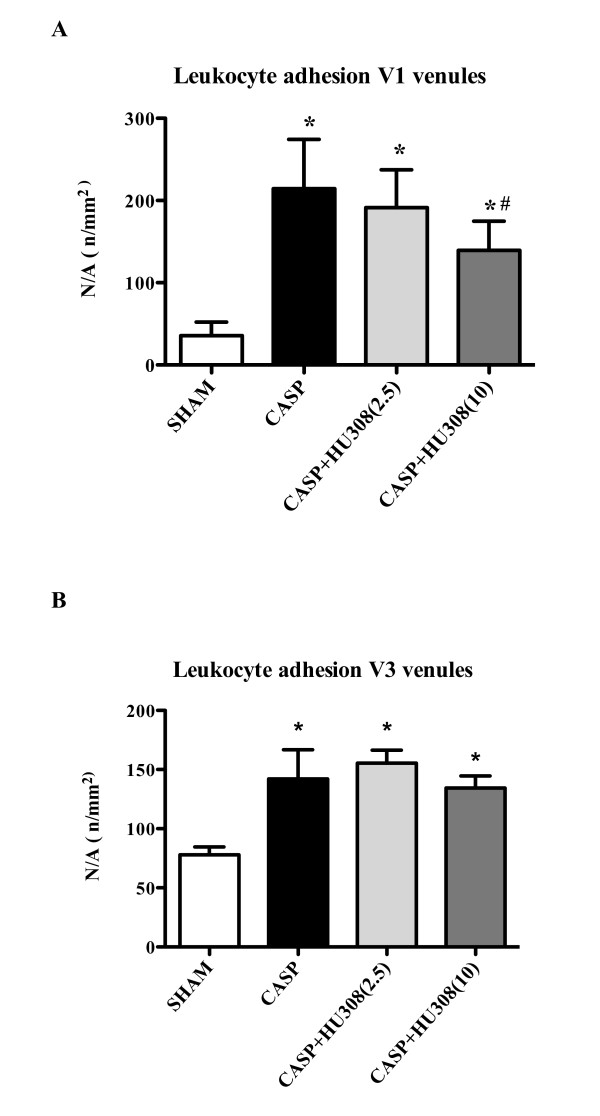 Colon ascendens stent peritonitis-induced sepsis - leukocyte adhesion. Leukocyte adhesion (n/mm2) in (A) collecting venules (V1) and (B) postcapillary venules (V3): SHAM, control group (n = 9); colon ascendens stent peritonitis (CASP), sepsis group (n = 9); CASP + HU308 (2.5/10 mg/kg), CASP plus cannabinoid receptor 2 agonist (2.5 or 10 mg/kg HU308; n = 9). Data presented as mean ± standard deviation. N/A, numbers per area. *P <0.05 versus SHAM. #P <0.05 versus CASP.