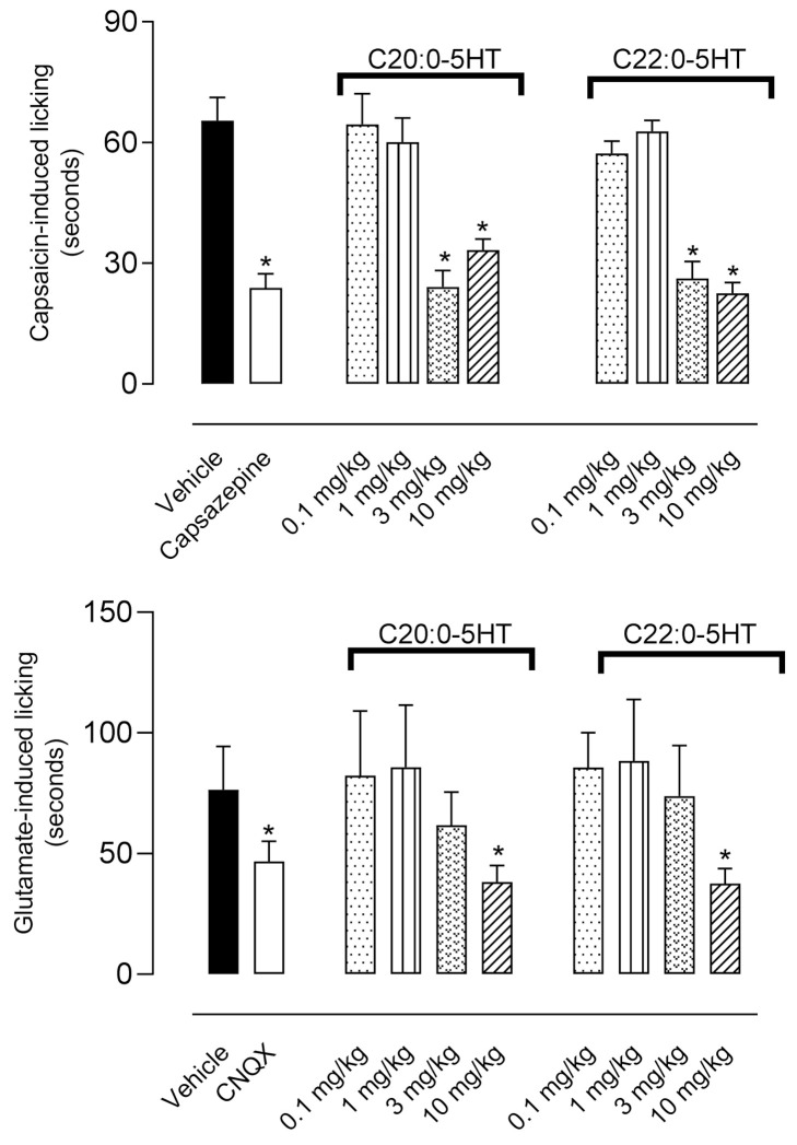 Antinociceptive effect of βN-arachinoyl-5-hydroxytryptamide (C20:0-5HT) and βN-behenoyl-5-hydroxytryptamide (C22:0-5HT) on the licking response induced by capsaicin or glutamate in mice. Animals were pretreated with different doses of C20:0-5HT, C22:0-5HT, or vehicle 60 min before the injection of capsaicin (1.6 µg/paw) or glutamate (3.7 ng/paw). Capsazepine (capsaicin receptor antagonist, 3.2 μg/paw) or CNQX (glutamate receptor antagonist, 30 ng/paw) were injected in mice paws 15 min prior to each respective agonist. The results are presented as mean ± SD (n = 7 per group) of the time that the animal spent licking the capsaicin- or glutamate-injected paw. One-way ANOVA followed by Tukey’s post hoc test was used to calculate the statistical significance. * p < 0.05 as compared with vehicle-treated mice.