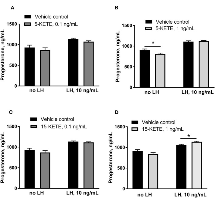 Effect of 5-KETE and 15-KETE on progesterone production in cultured luteal cells on day 1 of culture. Significant differences (P < 0.05) between lipid-treated and vehicle control are denoted with a *. The effect of 0.1 ng/mL (A) or 1 ng/mL (B) 5-KETE and of 0.1 ng/mL (C) or 1 ng/mL (D) 15-KETE (N = 5 and N = 4 for without and with LH groups, respectively).