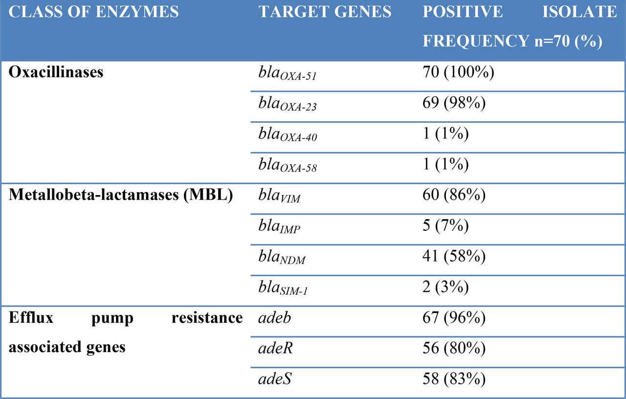 Summary of PCR results