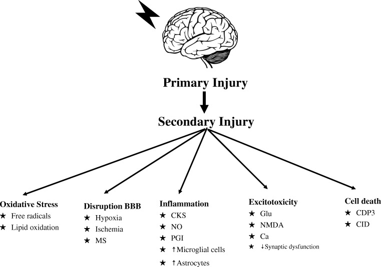 Secondary injury from oxidative stress, disruption of the blood-brain-barrier (BBB), inflammation, excitotoxicity, and cell death and resulting factors involved in neuronal damage. MS: mitochondrial stress, CKS: cytokines, NO: nitric oxide, PGI: prostaglandins, Glue: glutamate, NMDA: N-methyl-D-aspartate receptor, Ca: calcium, CDP: caspase-dependent 3, CID: caspase-independent factor