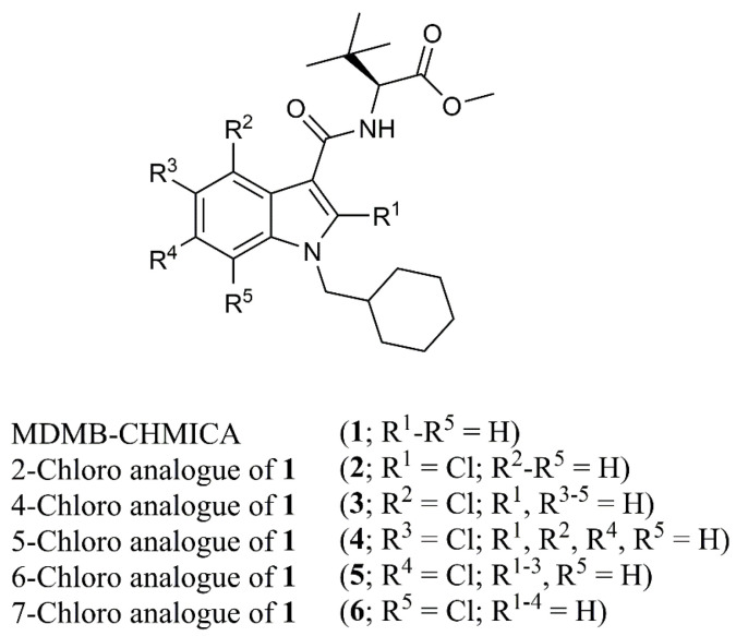 Structural formula for MDMB-CHMICA and its five chloroindole derivatives.