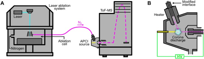 Schematic overview of the hyphenation of a laser ablation system and a mass spectrometer using APCI (A) and the modified APCI source used (B). Based on Schmeinck and Karst [15].