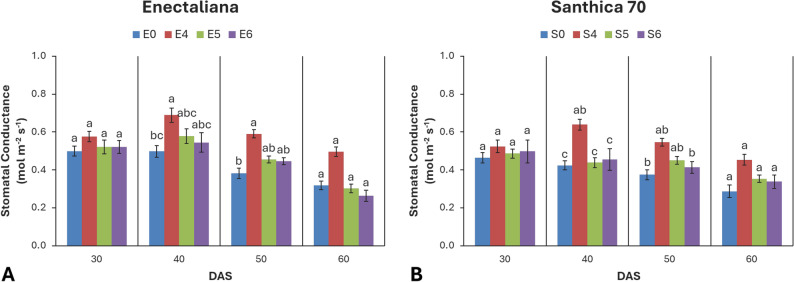 Stomatal conductance of hemp cultivars under different topping levels
