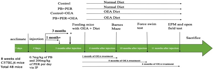 The experimental paradigm. The experimental timeline details the timing of GW chemical administration, treatment with OEA, behavioral testing, and tissue collection.