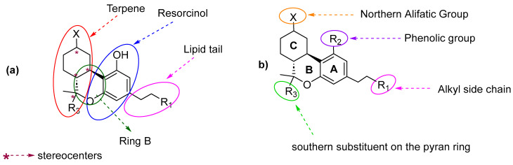(a) HHC scaffold broken down into five distinct regions. (b) Four major pharmacophores present in the HHC core.