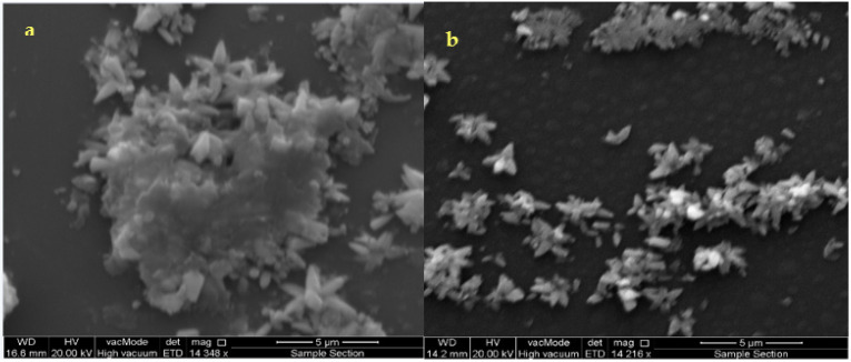 SEM microphotographs of the as-deposited ZnS thin film (a,b) annealed at 300 °C.