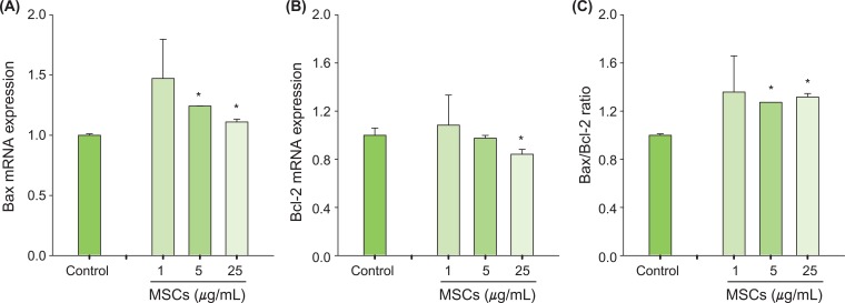 Bax and Bcl-2 gene expression in p53-wildtape H460 cells exposed to marijuana smoke condensates (MSCs). The cells were exposed to MSCs (1-25 µg/mL) for 6 hours to identify p53-related genes involving Bax (A), Bcl-2 (B) and Bax/Bcl-2 (C). The results are expressed as mean±SD. Values were significantly different from the control (0.1% DMSO). *p < 0.05.