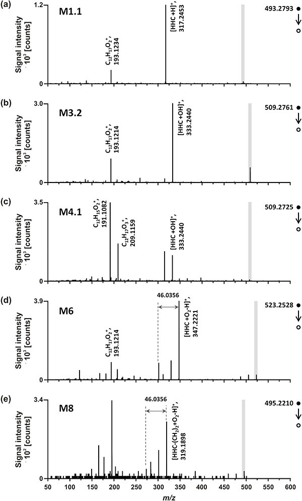 Alt text: Representative fragmentation spectra of the proposed HHC Phase II metabolites. (a) M1.1: HHC glucuronide 1, (b) M3.2: HHC-OH (6-9) glucuronide 2, (c) M4.1: HHC-OH (1′–5′) glucuronide 1, (d) M6: HHC-COOH glucuronide and (e) M8: a putative metabolite obtained by oxidation of C3′ to the carboxylic acid and subsequent glucuronidation (HHC-COOH (3′) glucuronide).